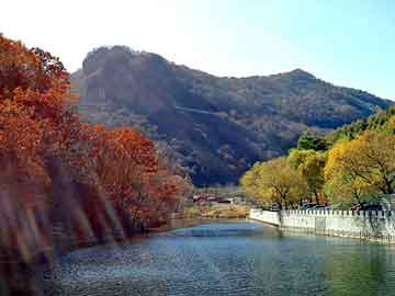 新澳天天开奖资料大全旅游团，薪资机